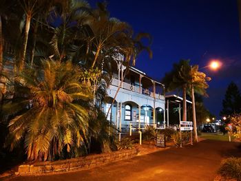 Palm trees by building against sky at night