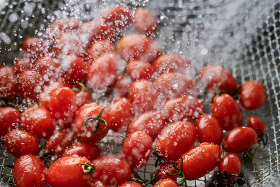 Close-up of water spray on the tomatoes
