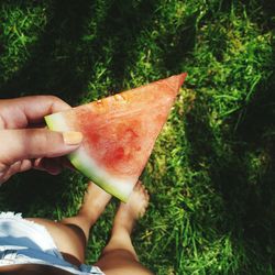 Low section of woman holding watermelon while standing on field