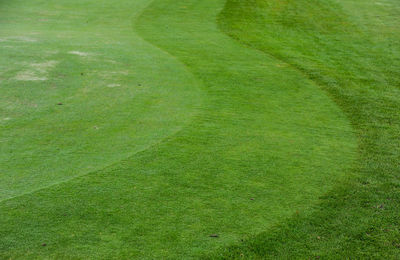 Full frame shot of golf course