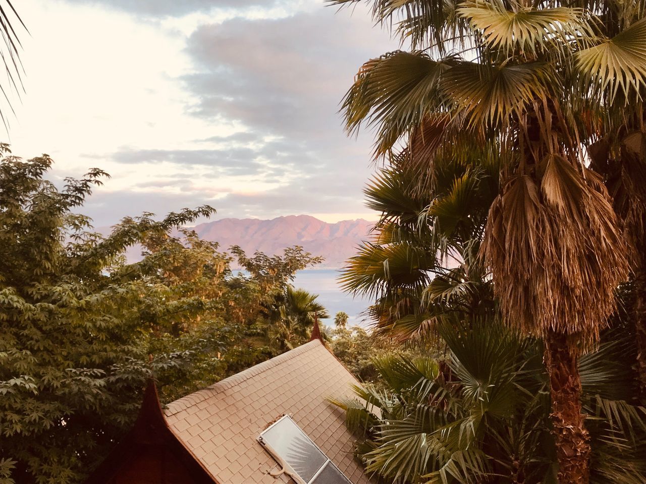 tree, palm tree, plant, sky, tropical climate, architecture, built structure, growth, nature, roof, beauty in nature, no people, cloud - sky, building exterior, mountain, scenics - nature, day, building, outdoors, house, coconut palm tree