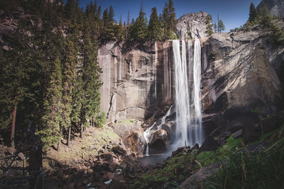 Scenic view of waterfall in forest