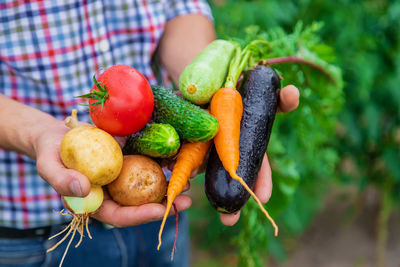 Midsection of woman holding fruit