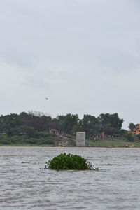 Bird flying over lake against sky