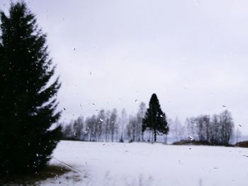 Snow covered trees against sky