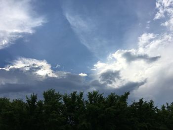 Low angle view of trees against cloudy sky