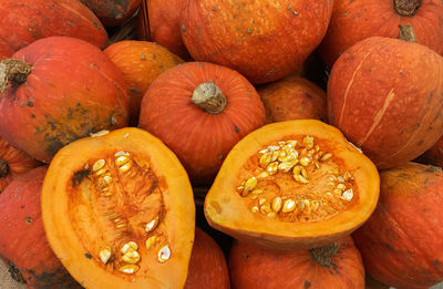 Close-up of pumpkins