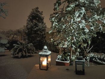 Illuminated lantern on table against trees at night