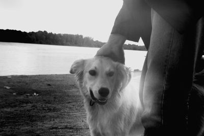 Low section of man with dog on lake against sky