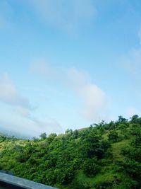 Plants growing on land against sky