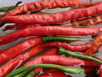 Close-up of carrots