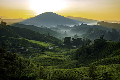 Scenic view of landscape against sky during sunset