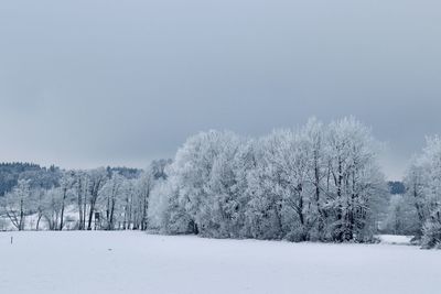Trees on snow covered field against sky
