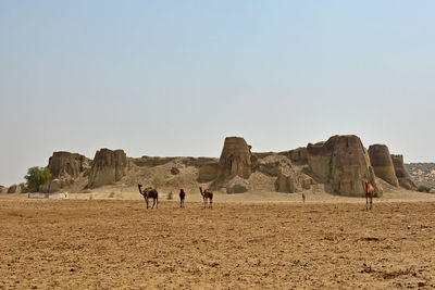 People on rock formations in desert against clear sky