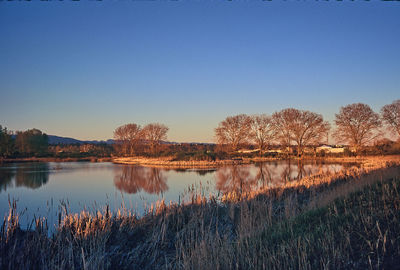 Scenic view of lake against clear blue sky