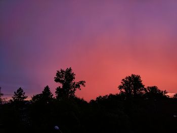 Low angle view of silhouette trees against sky at sunset