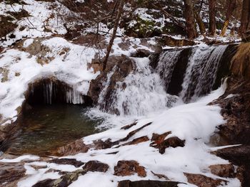 Scenic view of waterfall in forest