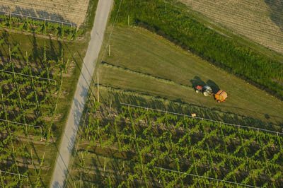 Tractorcutting grass on field