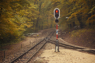 Railroad track with light at autumn time 