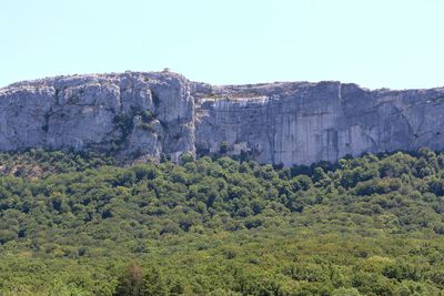 Trees and rocks against clear sky