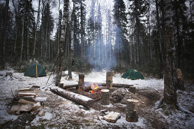 Bonfire in forest during winter
