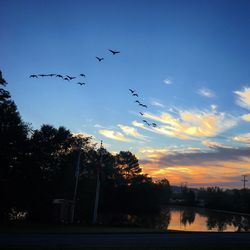 Low angle view of silhouette birds flying against sky during sunset