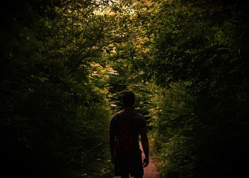 Rear view of man walking in forest