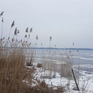 Scenic view of snow covered land against sky