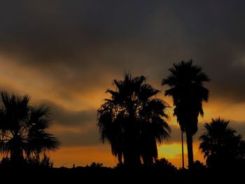 Low angle view of silhouette trees against sky during sunset