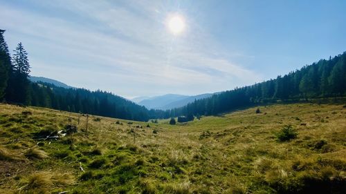 Scenic view of landscape against sky