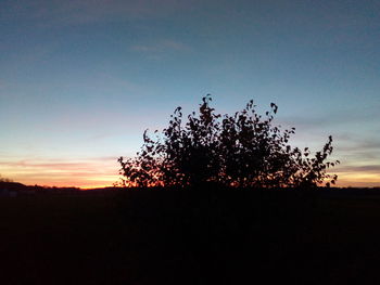 Silhouette tree against sky during sunset