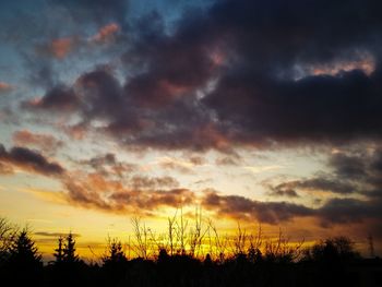 Low angle view of silhouette plants against dramatic sky