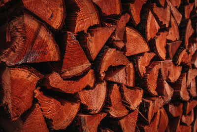 Full frame shot of firewood.
firewood stacking for winter