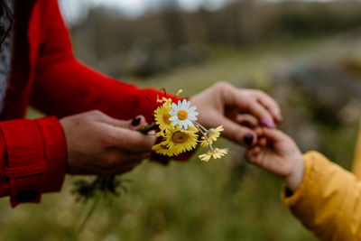 Cropped hand of woman holding flower