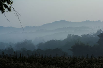 Scenic view of landscape against sky during foggy weather