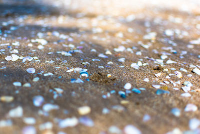 Full frame shot of raindrops on land