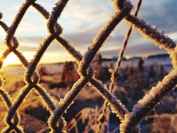 Close-up of chainlink fence against sky