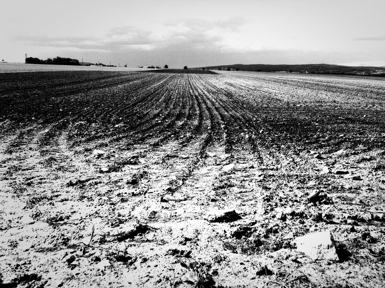 landscape, tranquility, tranquil scene, scenics, nature, sky, field, beauty in nature, rural scene, agriculture, horizon over land, remote, day, non-urban scene, outdoors, farm, sand, no people, tire track, clear sky