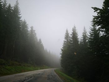 Road amidst trees in forest against sky