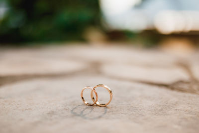 Close-up of wedding rings on leaf