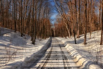 Empty road along bare trees during winter