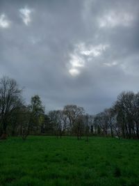 nature
