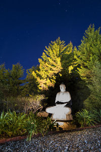 Statue by trees against sky at night