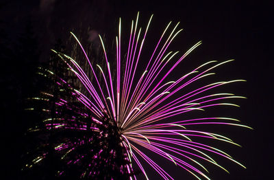 Low angle view of firework display