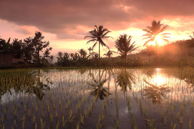 Scenic view of lake against sky during sunset