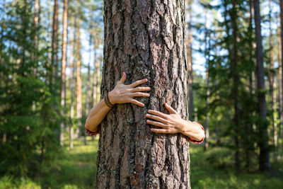 Woman touching tree trunk in forest