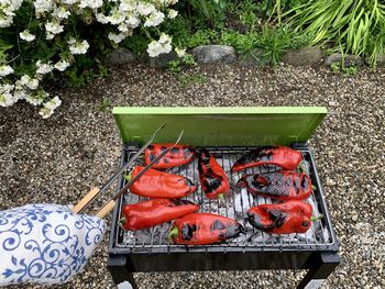 Bell pepper on the charcolgrill