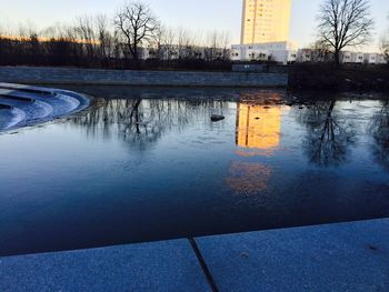 Reflection of bare trees in water