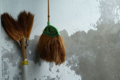 Close-up of paintbrushes on wall