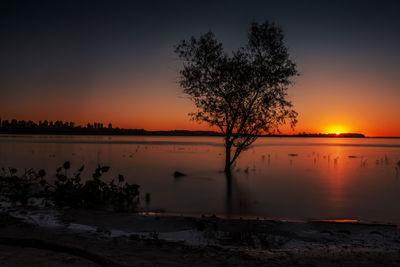 Silhouette tree by lake against sky during sunset